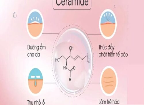 Ceramide 3 là gì?