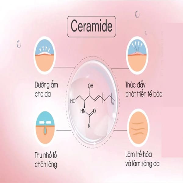 Ceramide 3 là gì?