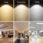 Về nhiệt độ màu đèn pha LED ánh sáng trắng và vàng