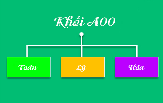 Sinh viên ngành khách sạn khối A