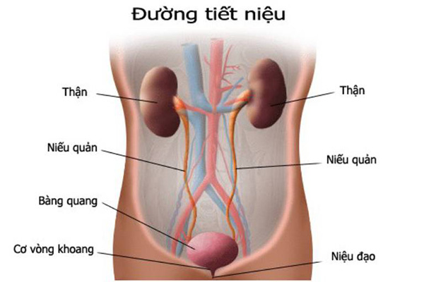 Biện pháp phòng ngừa viêm niệu đạo nam giới