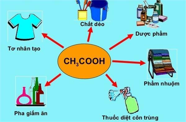 Ảnh đại diện axit axetic