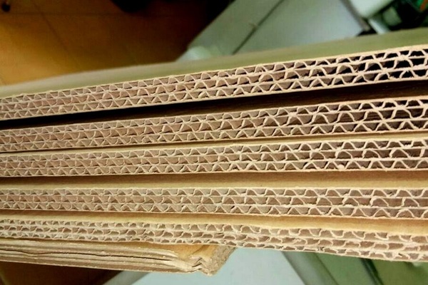 Bẫy mối bằng bìa carton