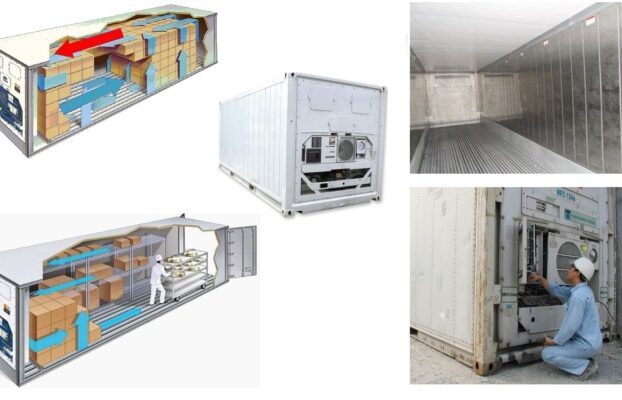 Sự khác biệt giữa kho lạnh container và kho lạnh cố định