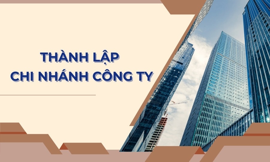 Doanh nghiệp nộp hồ sơ chi nhánh tại Sở KH&ĐT nơi dự kiến đặt trụ sở nhanh chóng, hợp pháp