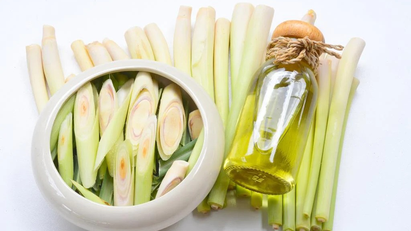 Tinh dầu sả giúp loại bỏ mùi hôi hiệu quả, mang lại không gian sống trong lành, dễ chịu