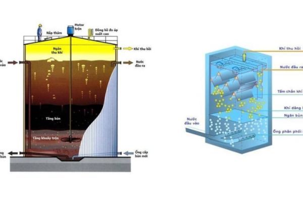 Sử dụng công nghệ sinh học để xử lý nước thải chăn nuôi