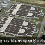 Xử lý nước thải bằng mương oxy hóa