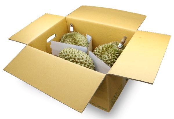 dong-goi-sau-rieng-di-may-bay-2