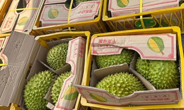 dong-goi-sau-rieng-di-may-bay-3