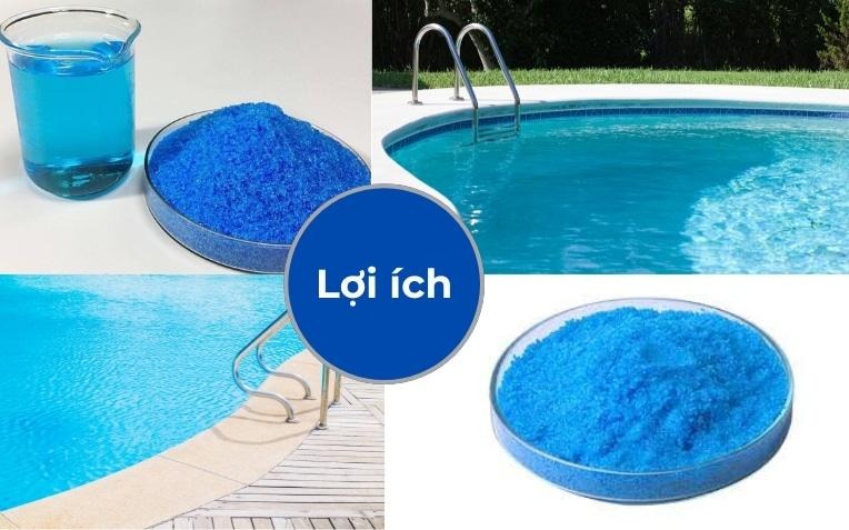 Chất diệt rêu tảo (Copper Sulfate)