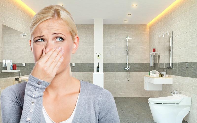 Toilet công ty có mùi hôi – Dấu hiệu hiệu nhận biết