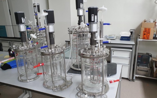 Cơ chế hình thành enzyme ngoại bào