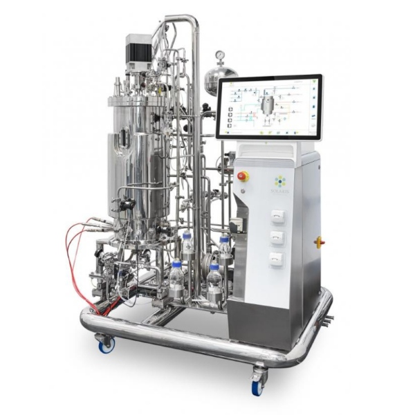 Hoạt động enzyme trong môi trường lên men