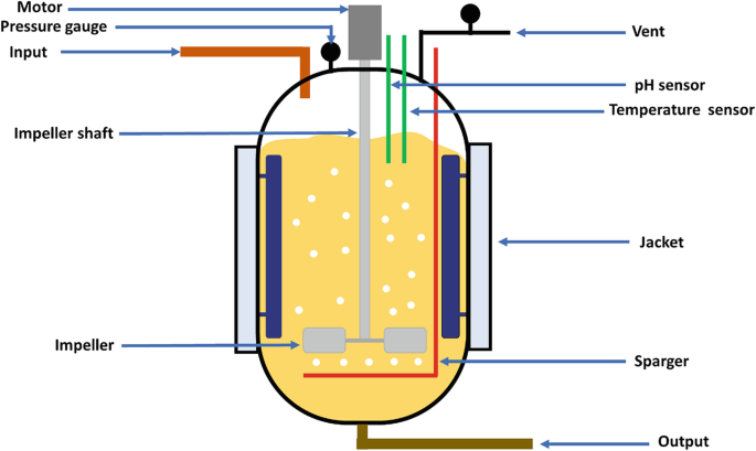 Mô phỏng dòng khí trong bioreactor