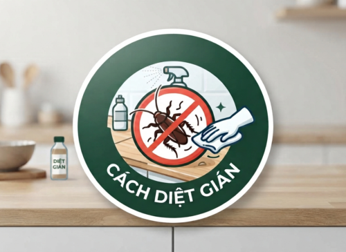 Cách diệt gián nhà bếp
