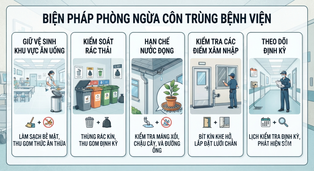Biện pháp phòng ngừa côn trùng quay trở lại tại bệnh viện